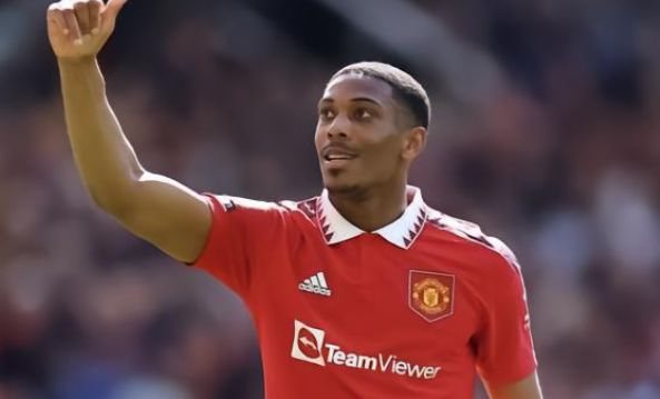 然分别来自 然分别来自